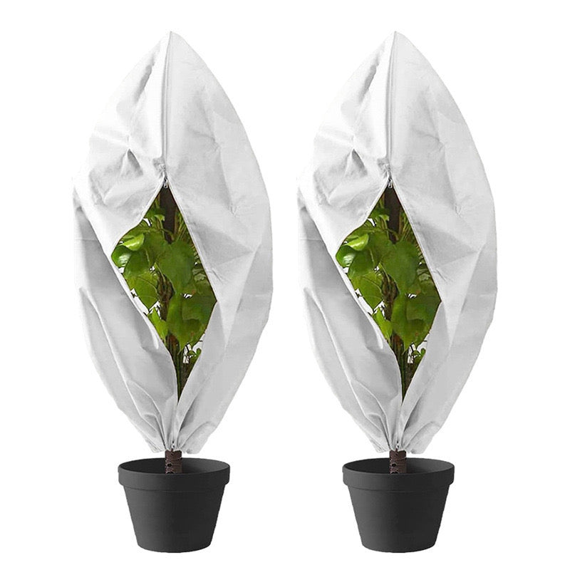 Two potted plants with white covers on a white background
