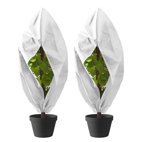 Two potted plants with white covers on a white background